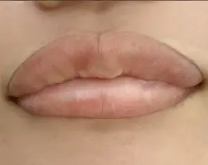 リップアートメイク BEFORE