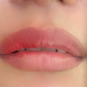 リップアートメイク BEFORE