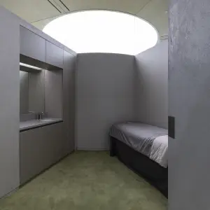 THEIA AI 色素レーザー