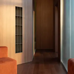 THEIA AI 色素レーザー