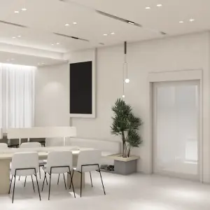 フェイスリフト・顔の脂肪形成