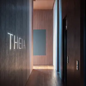 THEIA AI 色素レーザー