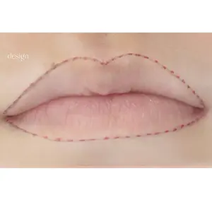 リップアート BEFORE