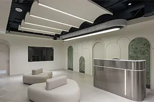 アートメイク