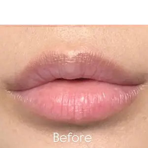 リップアートメイク BEFORE