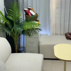 Aneul